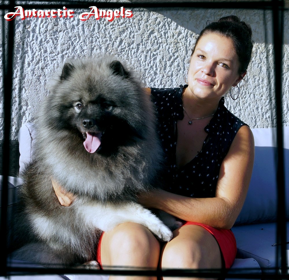 Antarctic Angels Spitz loup Handling